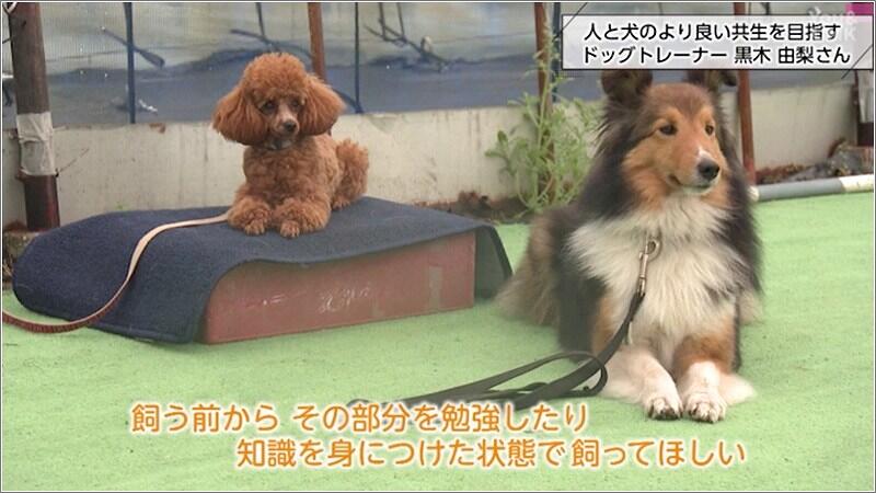 10 犬と飼い主