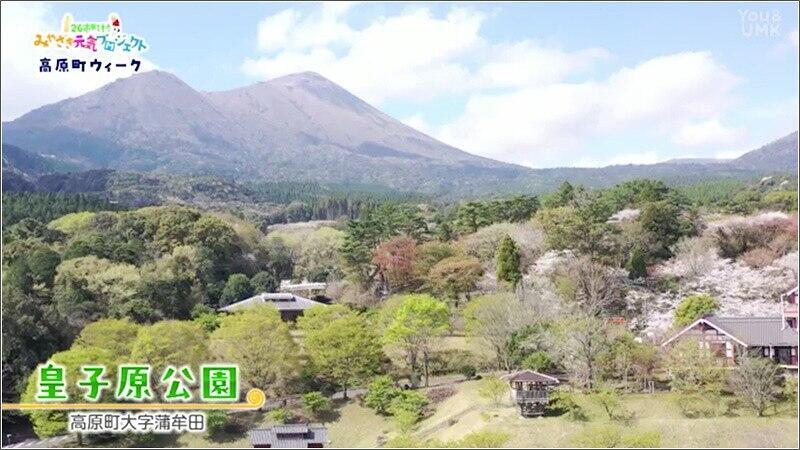 05 皇子原公園