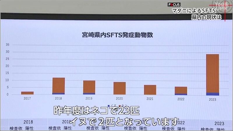 03 ペットへの感染