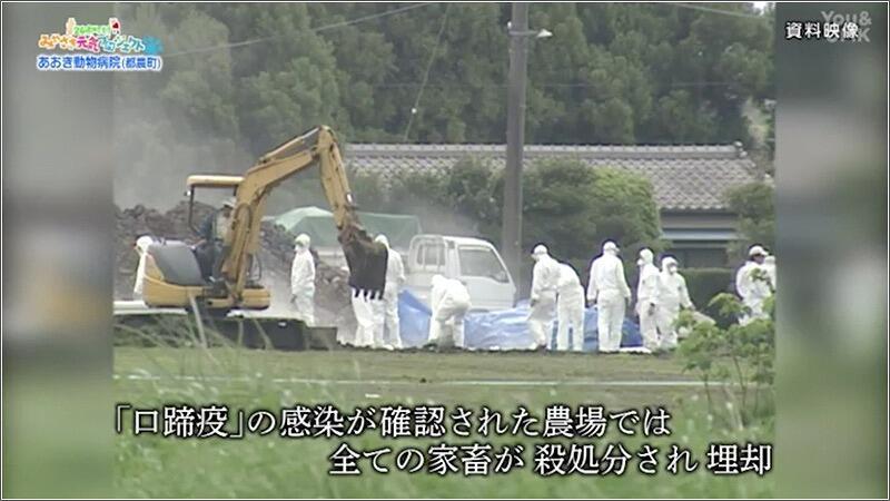 04 口蹄疫