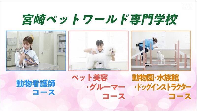 02 宮崎ペットワールド専門学校コース