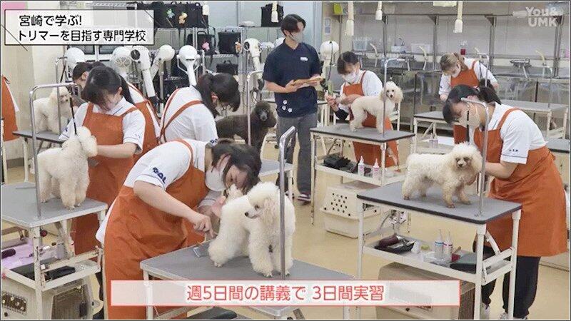 03 ペット美容グルーマーコース