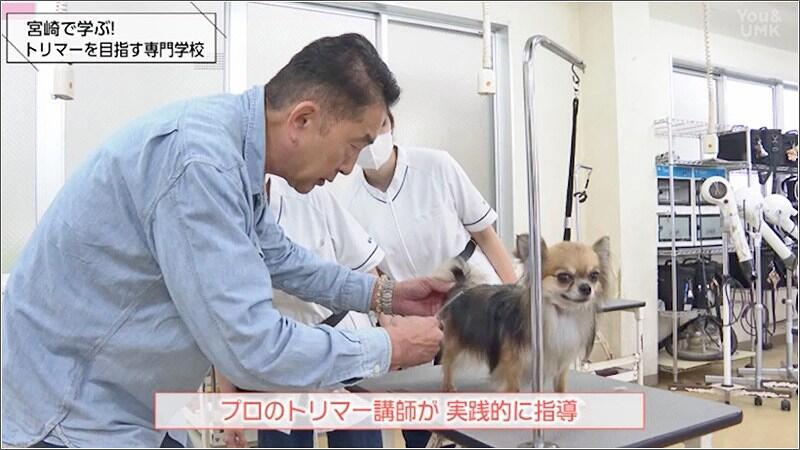 06 トリマー講師