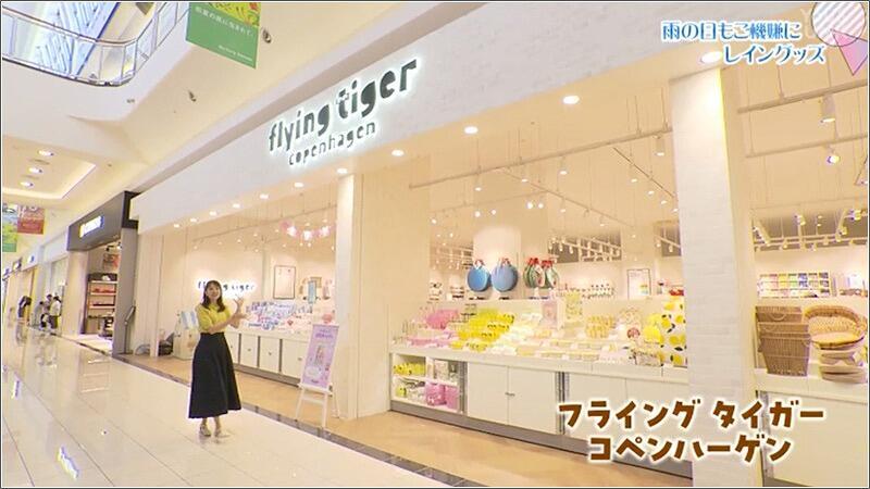 06 フライングタイガー