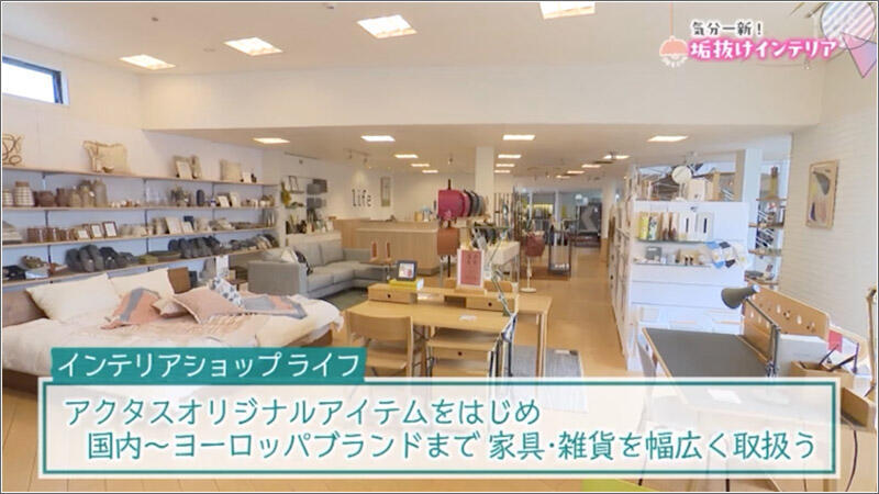 14 インテリアショップライフ