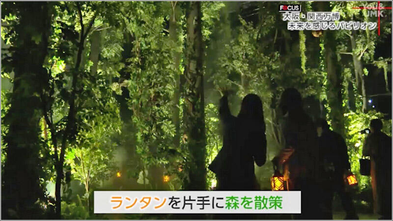 07 ランタンを手にして薄暗い森を探索
