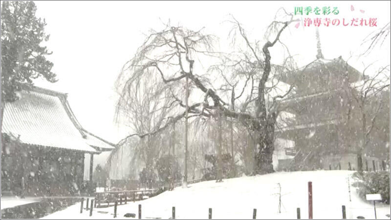 06 雪化粧