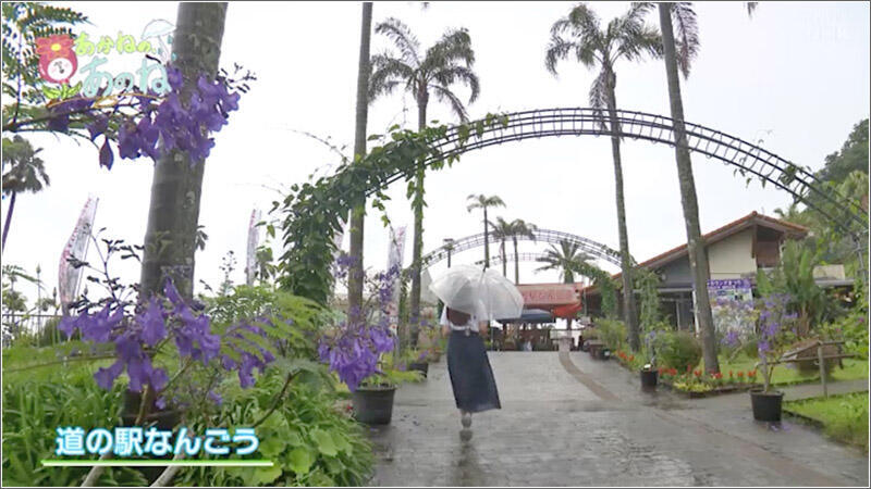 04 道の駅 なんごう