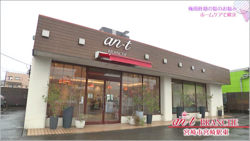 07 an-t BRANCHE