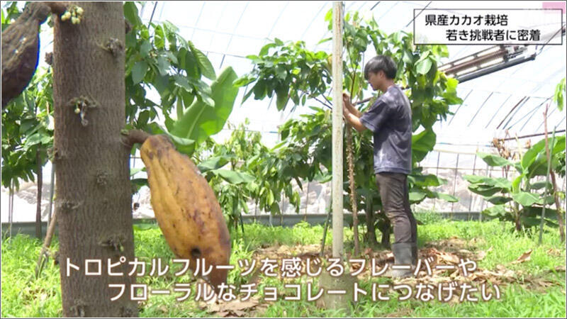 05 カカオ農園