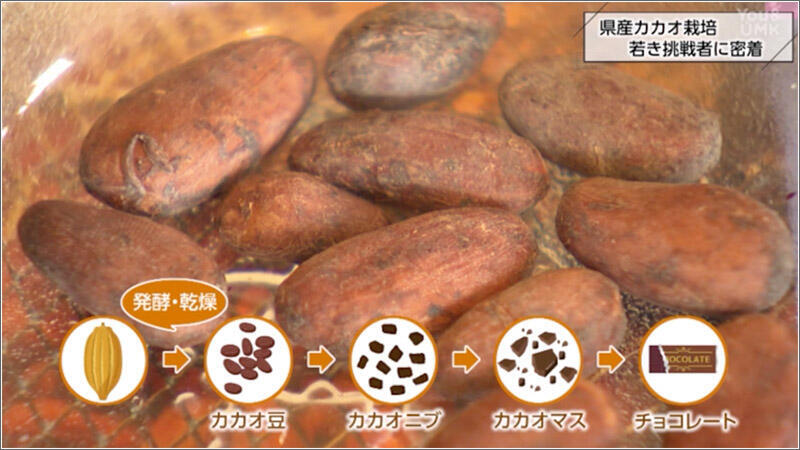 06 工程