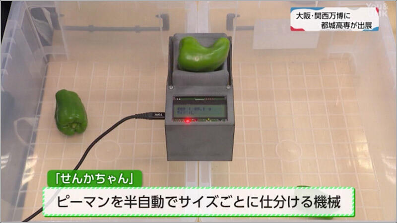 10 せんかちゃん