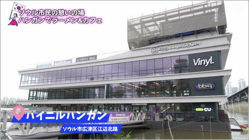 03 バイニルハンガン