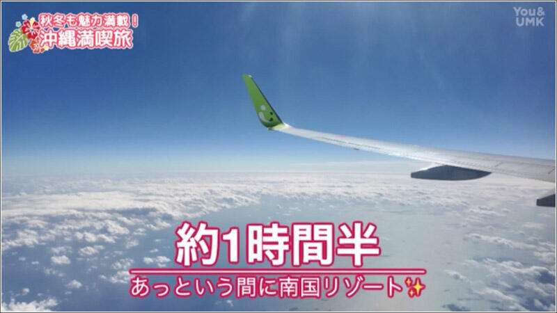 01 ソラシドエア