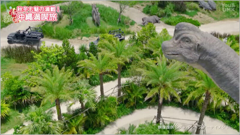 02 ジャングリア沖縄