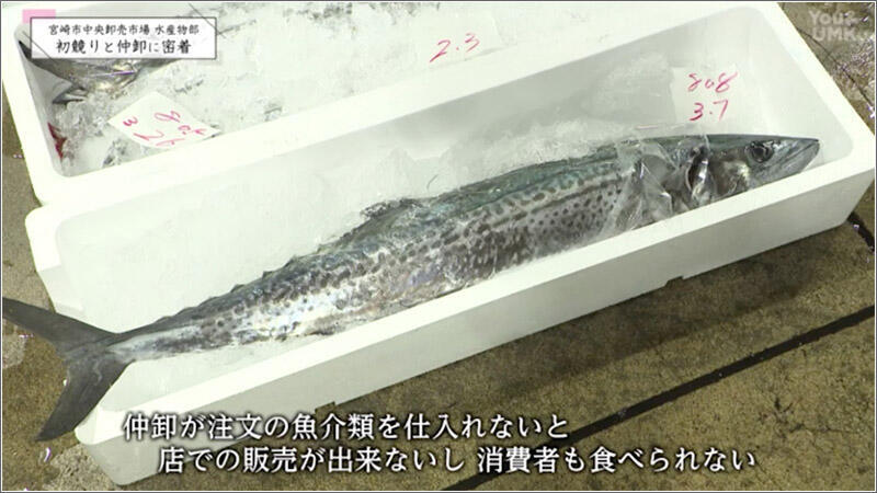 04 競り落とした魚
