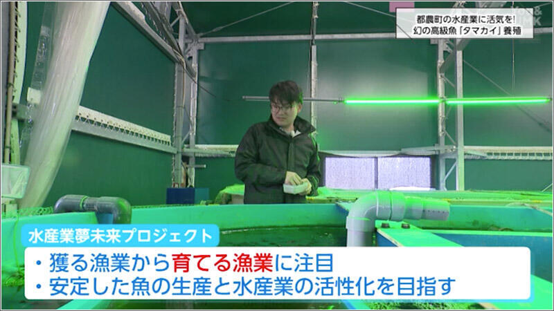 03 水産業夢未来プロジェクト