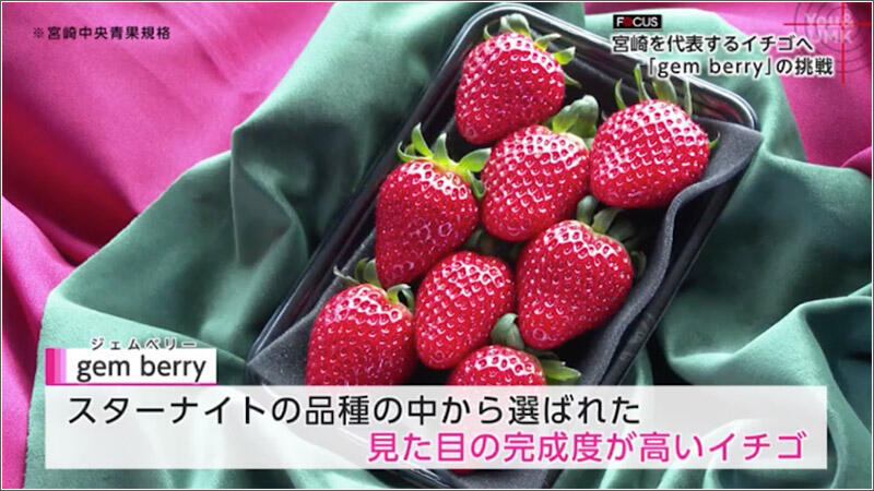 02 ジェムベリー