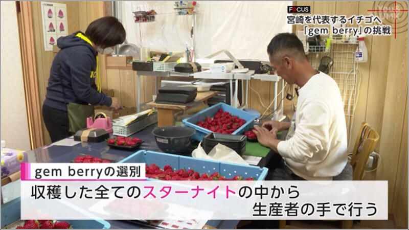 04 手作業で選別