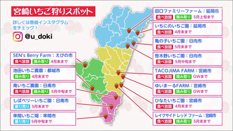 01 いちご狩りスポット