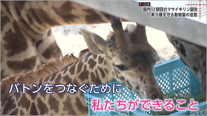 14 バトンを繋ぐために