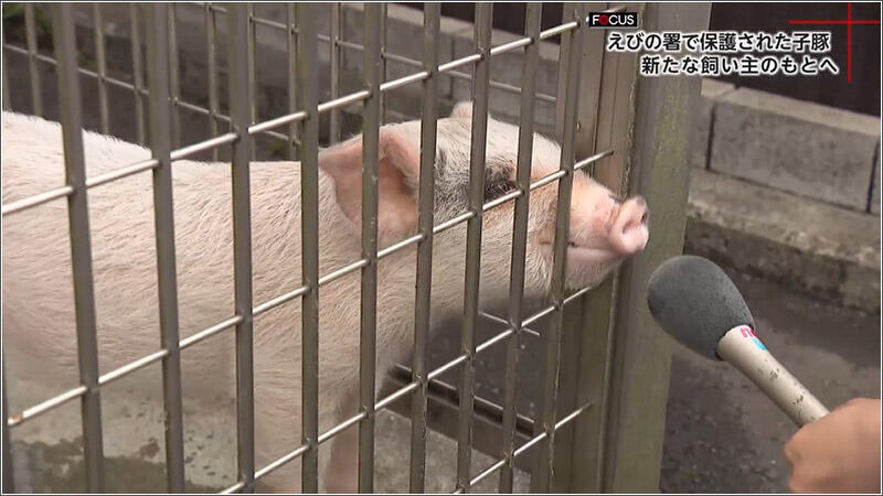 04 マイクに・・・トントン