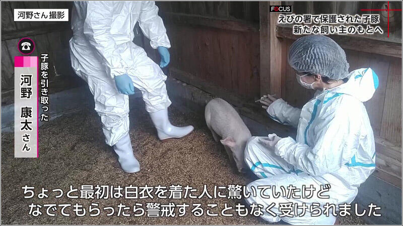 10 宮崎家畜保健衛生所による健康確認