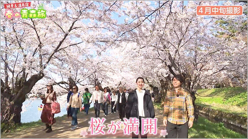 04 桜が満開
