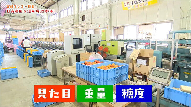 08 厳しい品質チェック