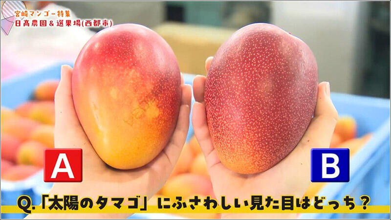 09 見た目は