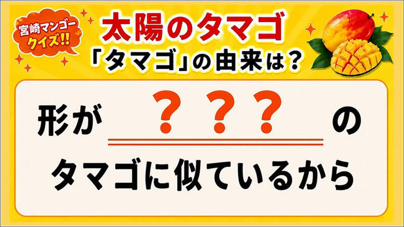 10 「太陽のタマゴ」のタマゴの由来は？