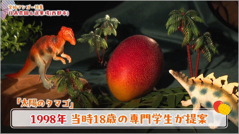11 恐竜の卵