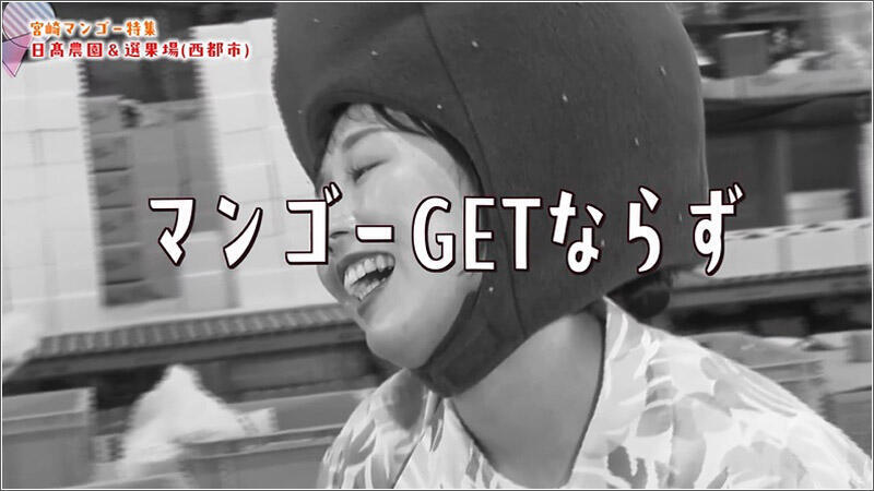 12 マンゴーGETならず