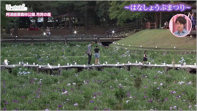 04 日没後の園内