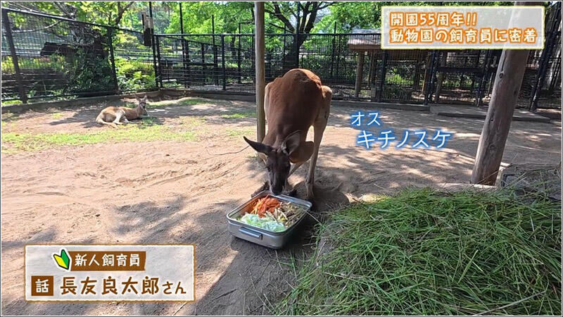 03 キチノスケ