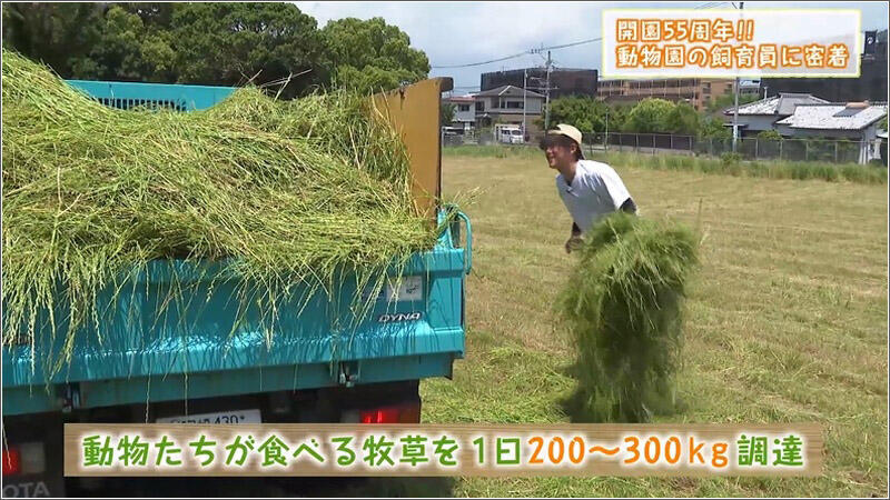 04 牧草を調達