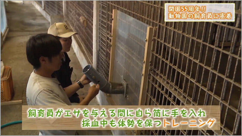 06 採血訓練