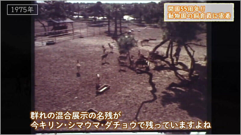 08 生態動物園