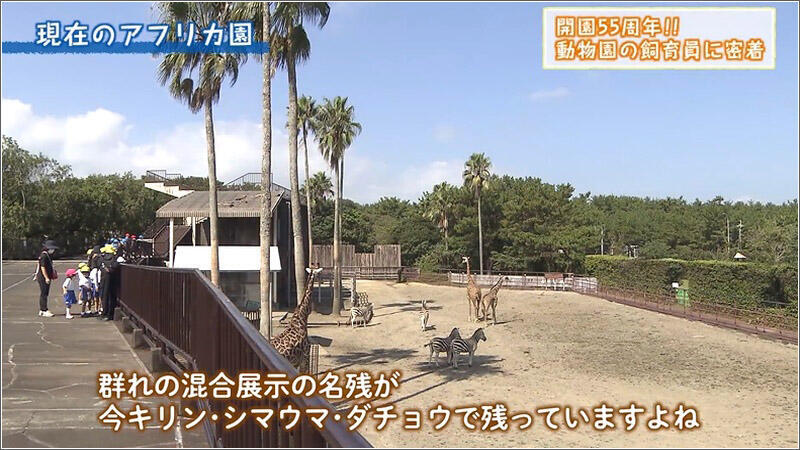09 混合展示