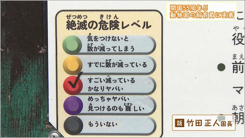 12 絶滅の危険レベル