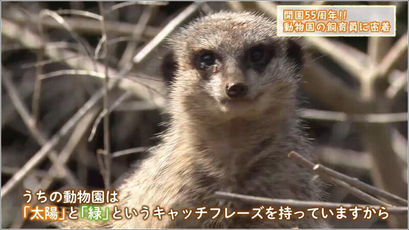16 「太陽と緑」のキャッチフレーズ