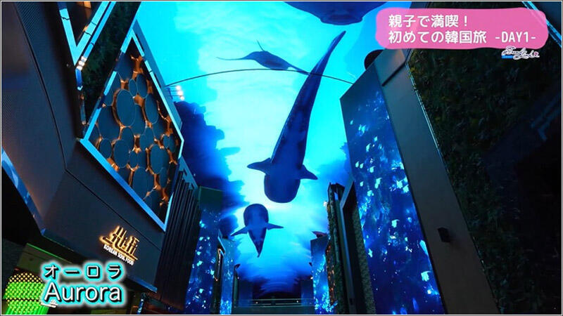 09 デジタルストリート「Aurora」 2
