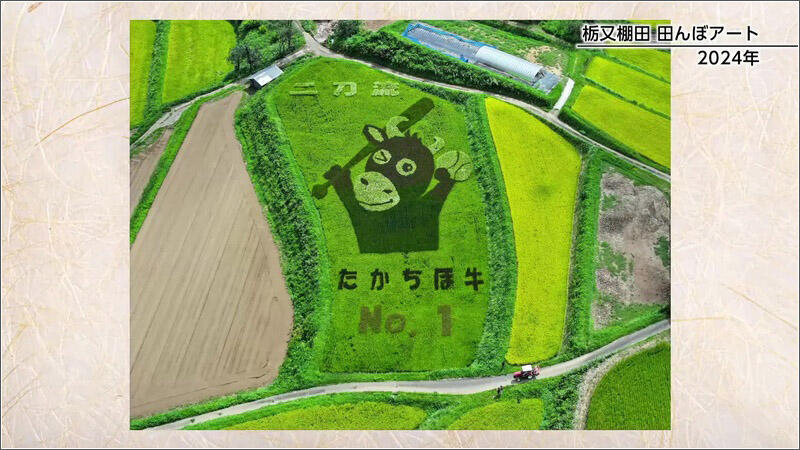 07 お米とアイドルグループのコラボレーション