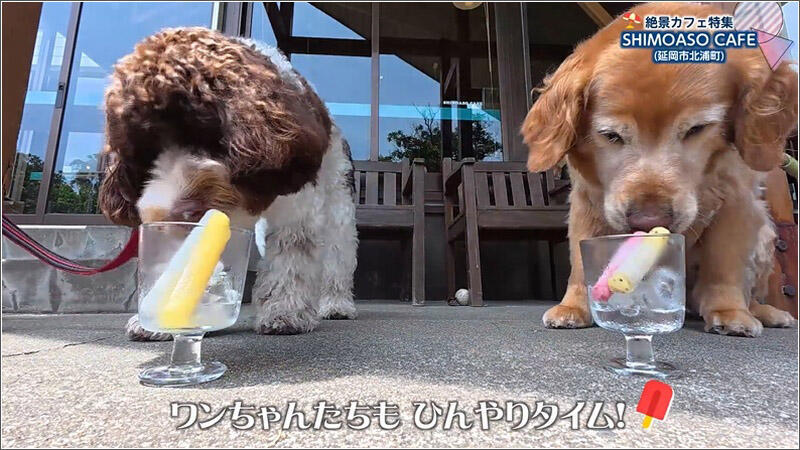 05 おやつタイム