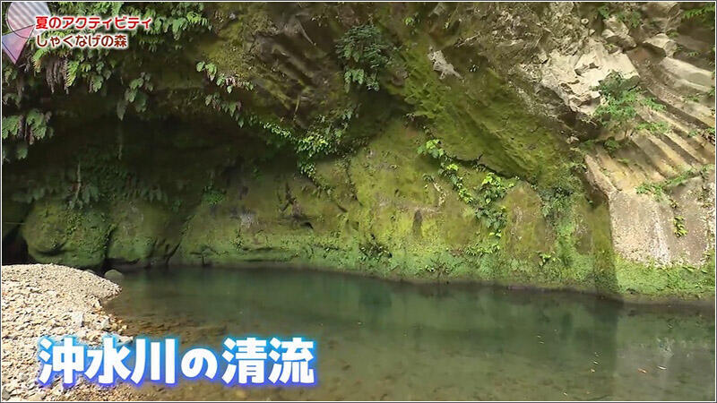 10 沖水川の清流
