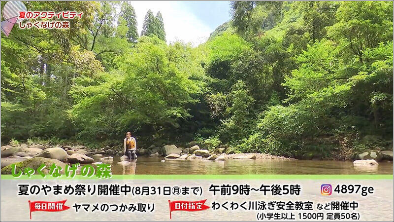 18 お知らせ