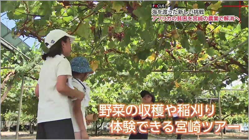 04 宮崎ツアー