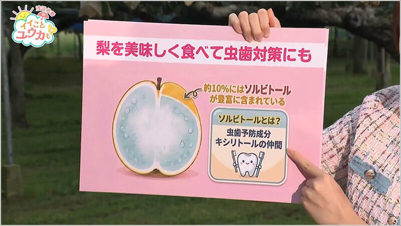 05 梨の特性