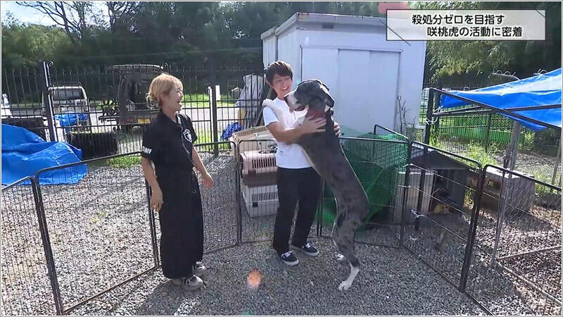04 咲桃虎の保護施設 2