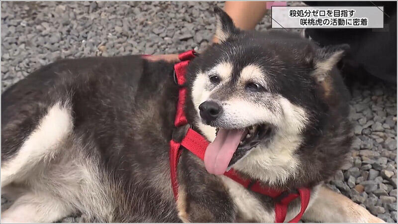 05 ちいちゃん